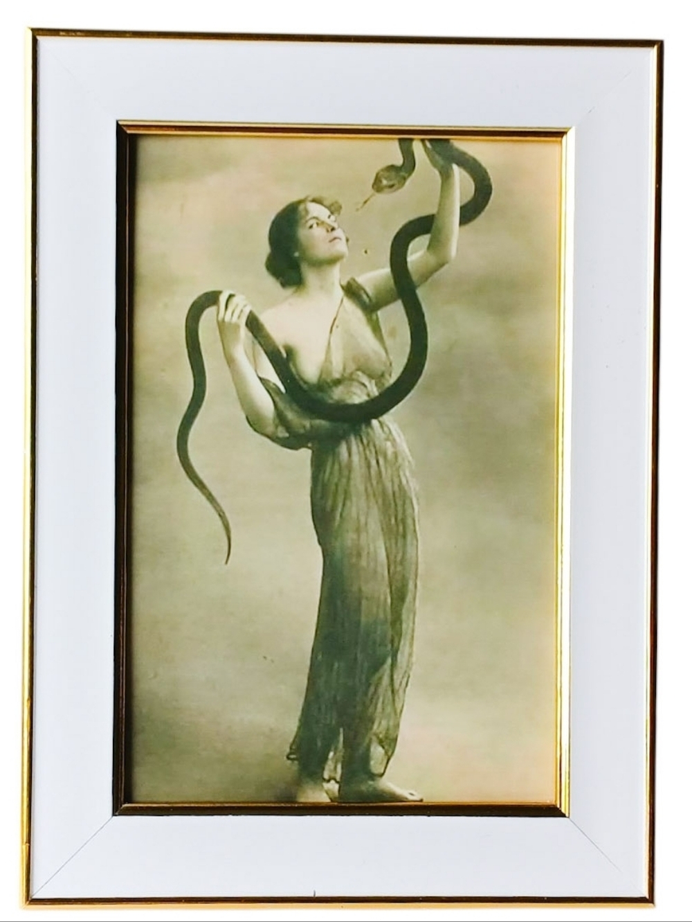 Vintage Sideshow Snake Charmer Freakshow Beautiful woman gypsy fortune teller